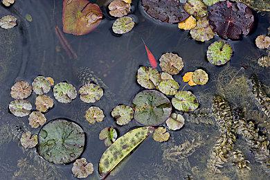 《尤卡莱莉大冒险》开发商Playtonic工作室确认裁员